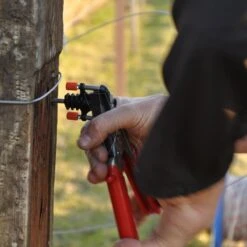 Gallagher Gallagher Tang -Goedkope Wolfswinkel winkel 005225 3 GALLAGHER