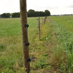 Gallagher W-isolator Zwart (25) 7 Gallagher W-isolator Zwart (25) -Goedkope Wolfswinkel winkel 006734 2 GALLAGHER