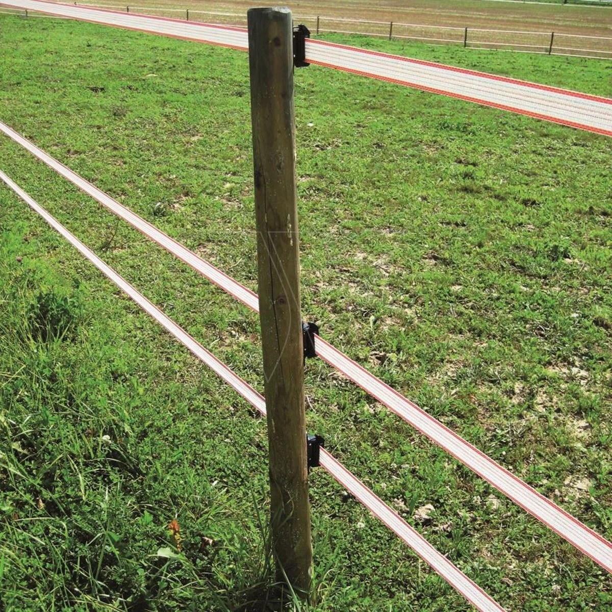 Gallagher Turboline Lint 40mm Standaard 5 Gallagher Turboline Lint 40mm Standaard - Afbeelding 3