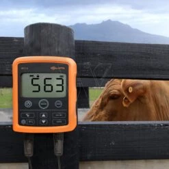 Aps Weegschaal W110 -Goedkope Wolfswinkel winkel 010205 2 GALLAGHER