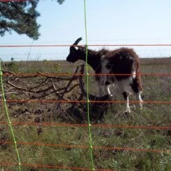 Gallagher Combinet, Oranje 90/1 - 14/g 11 Gallagher Combinet, Oranje 90/1 - 14/g -Goedkope Wolfswinkel winkel 010356 4 GALLAGHER