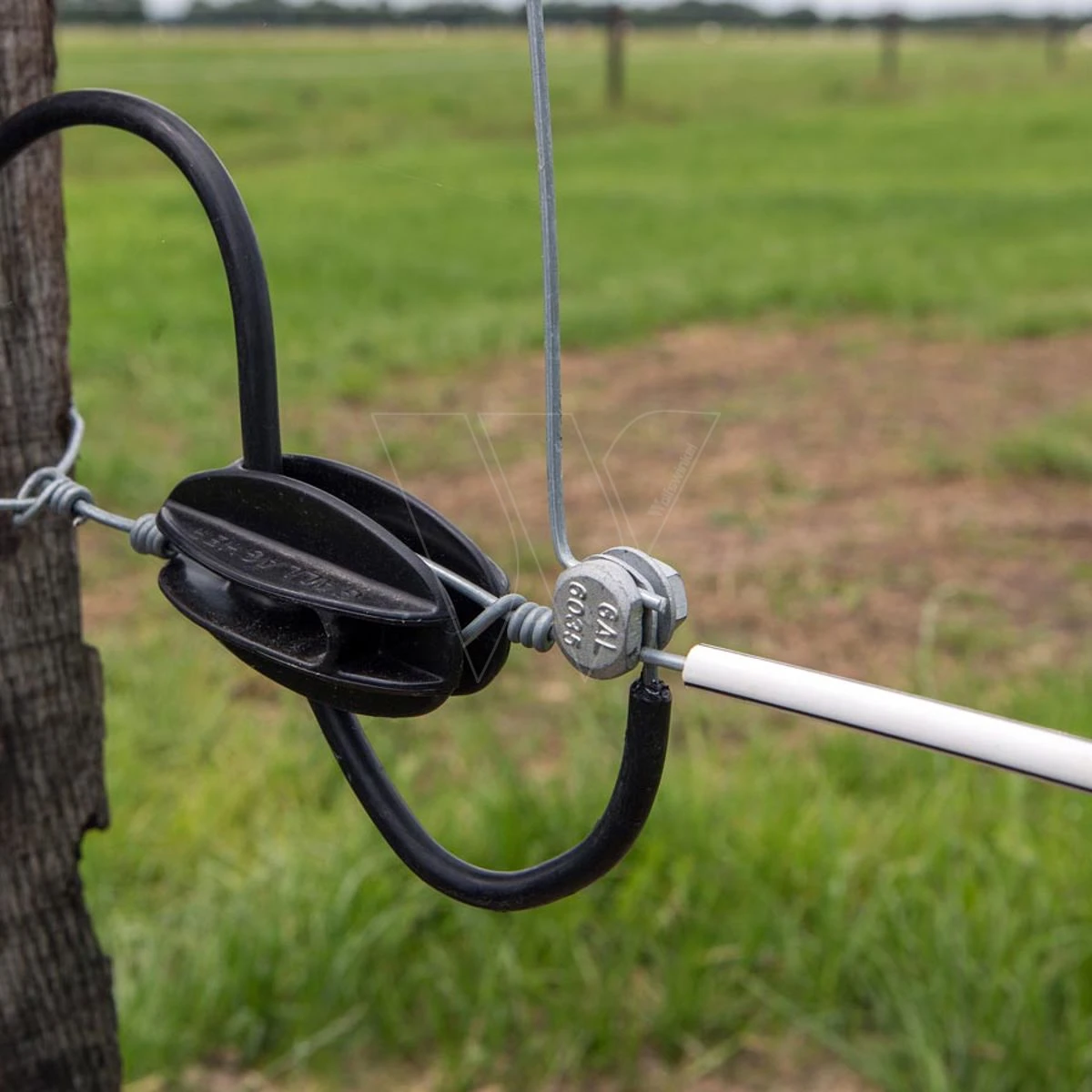 Gallagher Draadklem Rond (10) 5 Gallagher Draadklem Rond (10) - Afbeelding 3