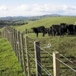 Gallagher Afstandisolator Krulstaart Wit 8 Gallagher Afstandisolator Krulstaart Wit -Goedkope Wolfswinkel winkel 010981 3 GALLAGHER