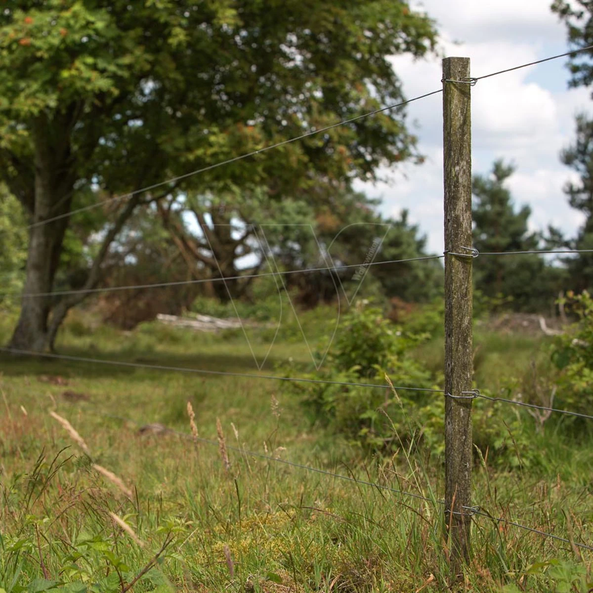 Gallagher Bevestigingsdraadje Lang (50) 5 Gallagher Bevestigingsdraadje Lang (50) - Afbeelding 3