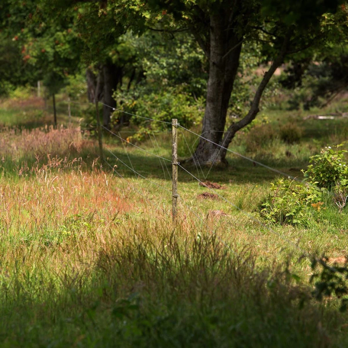 Gallagher Bevestigingsdraadje Lang (50) 6 Gallagher Bevestigingsdraadje Lang (50) - Afbeelding 4