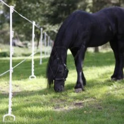 Gallagher Stijgbeugelpaal 1,55m Wit (5) 8 Gallagher Stijgbeugelpaal 1,55m Wit (5) -Goedkope Wolfswinkel winkel 019328 3 GALLAGHER