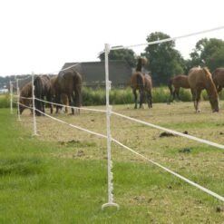 Gallagher Stijgbeugelpaal 1,55m Wit (5) 9 Gallagher Stijgbeugelpaal 1,55m Wit (5) -Goedkope Wolfswinkel winkel 019328 4 GALLAGHER