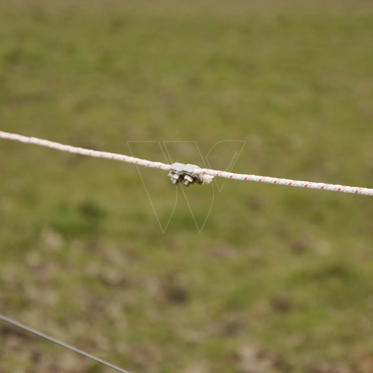 Gallagher Cord Verbinder (4) 6 Gallagher Cord Verbinder (4) - Afbeelding 4