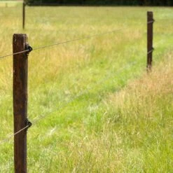 Gallagher W-isolator Zwart, Super (175) -Goedkope Wolfswinkel winkel 021055 3 GALLAGHER