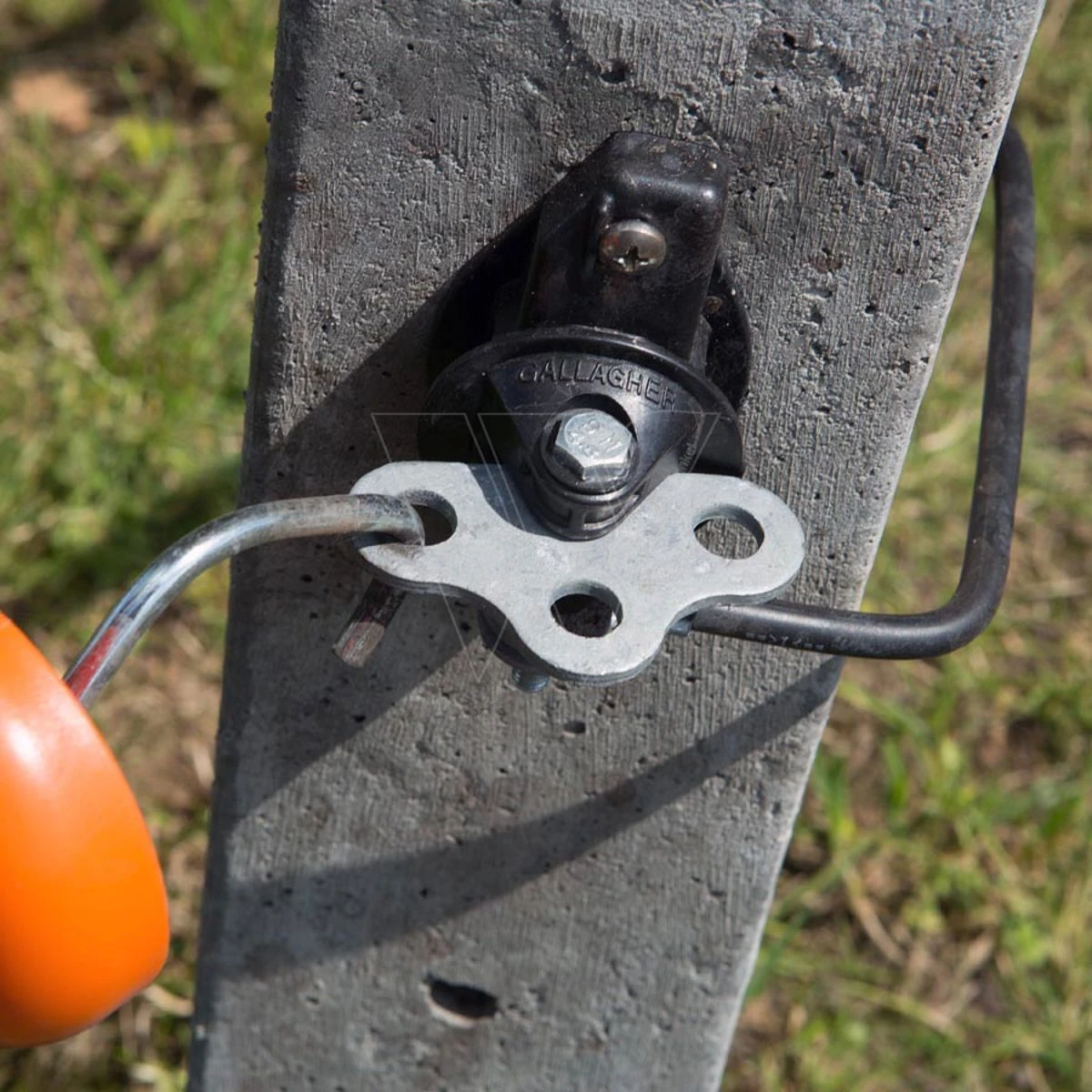 Gallagher Drieweg Poortgreepanker (4) 5 Gallagher Drieweg Poortgreepanker (4) - Afbeelding 3