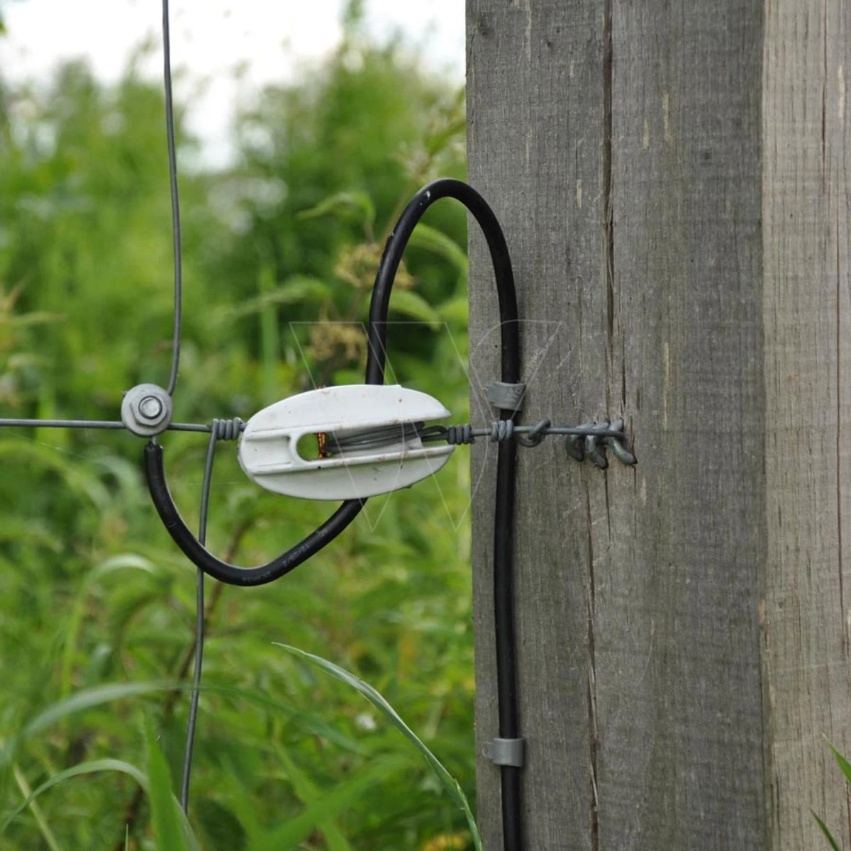 Gallagher Kabel 1,6mm 50m/rol 100 Ohm/1k 4 Gallagher Kabel 1,6mm 50m/rol 100 Ohm/1k - Afbeelding 2