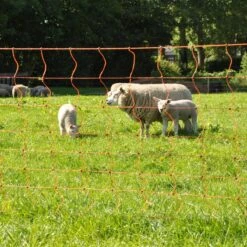 Gallagher Schapennet, Oranje 90/1 - 14/g 17 Gallagher Schapennet, Oranje 90/1 - 14/g -Goedkope Wolfswinkel winkel 022106 9 GALLAGHER