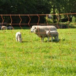 Gallagher Schapennet, Oranje 90/2 - 14/g -Goedkope Wolfswinkel winkel 022175 9 GALLAGHER