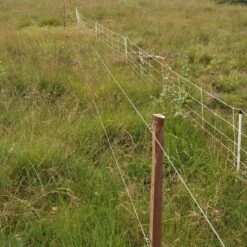 Gallagher Bevestigingsdraadje Kort (1000 -Goedkope Wolfswinkel winkel 024698 3 GALLAGHER