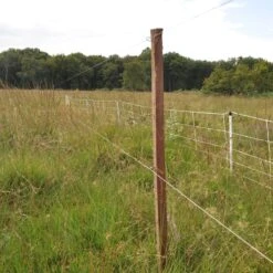 Gallagher Bevestigingsdraadje Lang (1000 -Goedkope Wolfswinkel winkel 024704 4 GALLAGHER