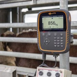 Aps Weegschaal Tw-1 -Goedkope Wolfswinkel winkel 026015 5 GALLAGHER