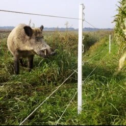 Gallagher Vario Paal 1,00m Wit (10) -Goedkope Wolfswinkel winkel 028481 7 GALLAGHER