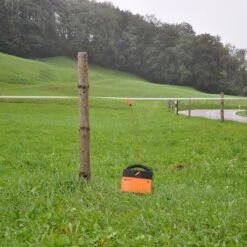 Gallagher B50 (9v - 0,5 J) 10 Gallagher B50 (9v - 0,5 J) -Goedkope Wolfswinkel winkel 028931 3 GALLAGHER