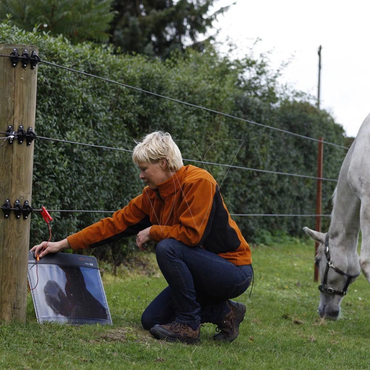 Gallagher S50 Exclusief Batterij (12v - 4 Gallagher S50 Exclusief Batterij (12v - - Afbeelding 2