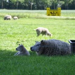 Gallagher Gealuminiseerd Draad Ht 2,5mm 11 Gallagher Gealuminiseerd Draad Ht 2,5mm -Goedkope Wolfswinkel winkel 039999 5 GALLAGHER