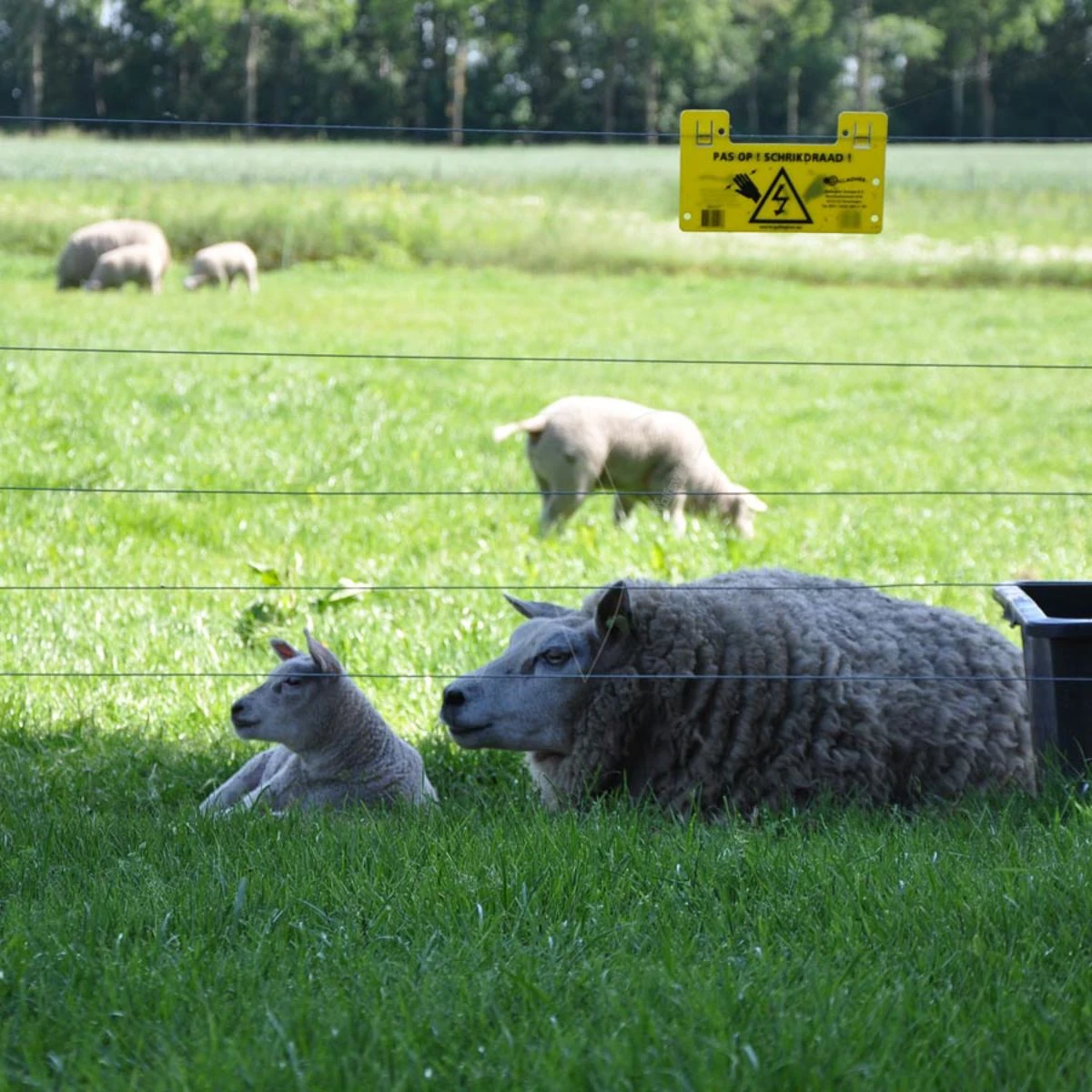 Gallagher Gealuminiseerd Draad Ht 2,5mm 6 Gallagher Gealuminiseerd Draad Ht 2,5mm - Afbeelding 4