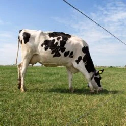 Gallagher Gealuminiseerd Draad Ht 2,5mm 12 Gallagher Gealuminiseerd Draad Ht 2,5mm -Goedkope Wolfswinkel winkel 039999 6 GALLAGHER