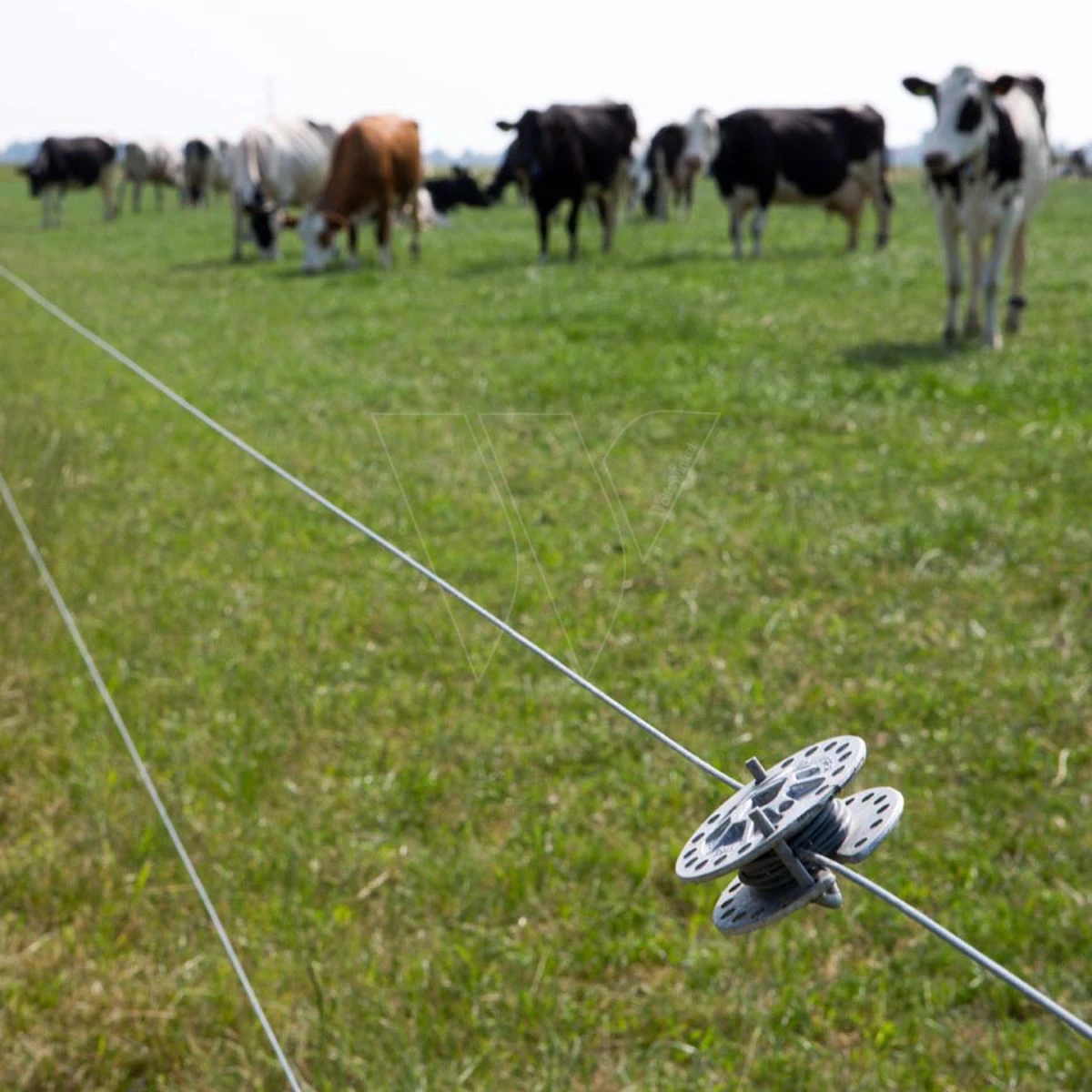 Gallagher Gealuminiseerd Draad Ht 2,5mm 8 Gallagher Gealuminiseerd Draad Ht 2,5mm - Afbeelding 6