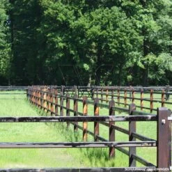 Gallagher Afstandschroefisolator Xdi Hou 16 Gallagher Afstandschroefisolator Xdi Hou -Goedkope Wolfswinkel winkel 042647 6 GALLAGHER