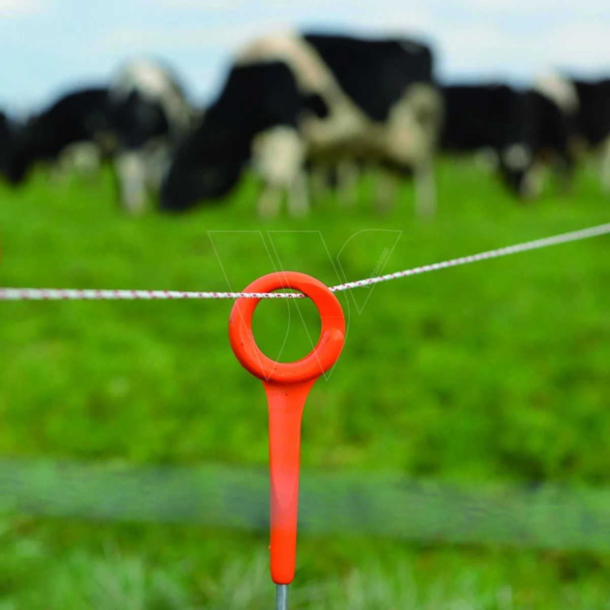 Gallagher Vidoflex 9 Turboline Plus Wit 5 Gallagher Vidoflex 9 Turboline Plus Wit - Afbeelding 3