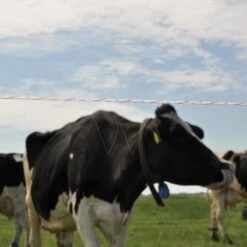 Gallagher Vidoflex 9 Turboline Plus Wit 12 Gallagher Vidoflex 9 Turboline Plus Wit -Goedkope Wolfswinkel winkel 049028 5 GALLAGHER