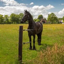 Gallagher Permanentkabel Terra 7,5mm/2,5 -Goedkope Wolfswinkel winkel 053858 5 GALLAGHER