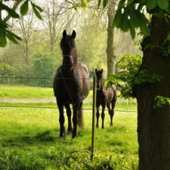 Gallagher Permanentkabel Terra 7,5mm/2,5 -Goedkope Wolfswinkel winkel 053858 6 GALLAGHER