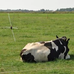 Gallagher Rasterspin (5) 16 Gallagher Rasterspin (5) -Goedkope Wolfswinkel winkel 056388 4 GALLAGHER