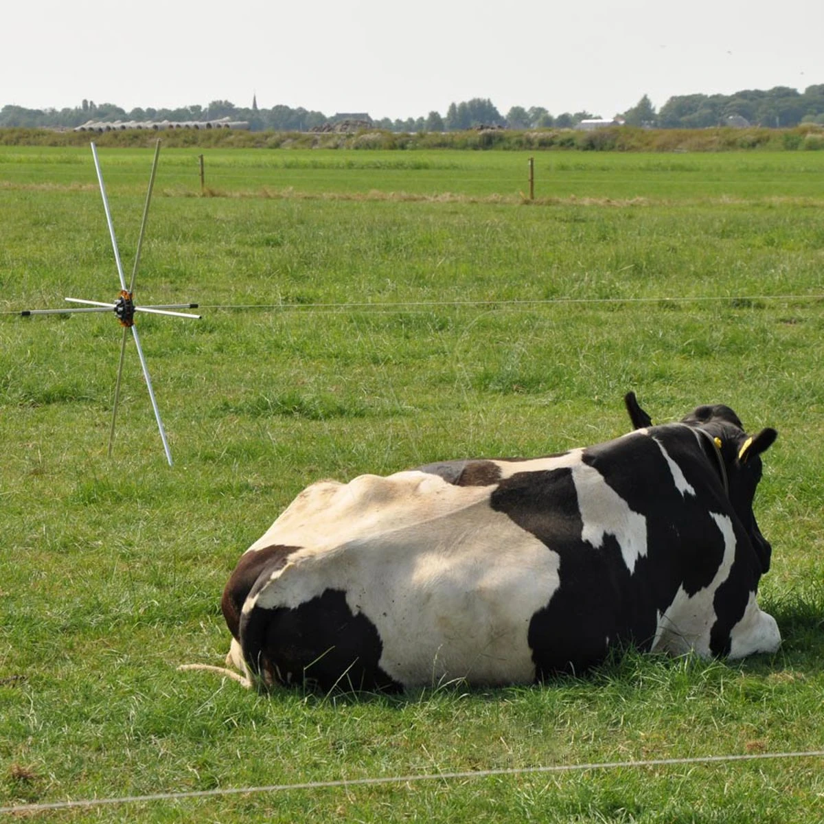 Gallagher Rasterspin (5) 7 Gallagher Rasterspin (5) - Afbeelding 5