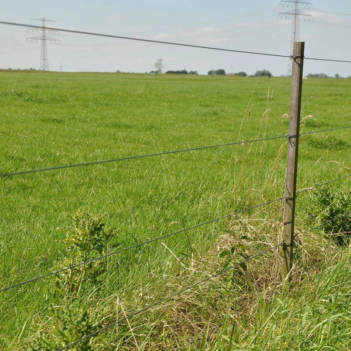 Gallagher Gealuminiseerd Draad Mt 1,8mm 5 Gallagher Gealuminiseerd Draad Mt 1,8mm - Afbeelding 3