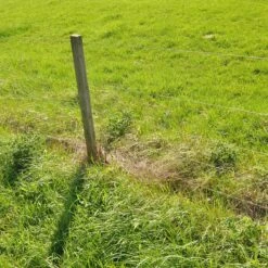 Gallagher Gealuminiseerd Draad Mt 1,8mm 13 Gallagher Gealuminiseerd Draad Mt 1,8mm -Goedkope Wolfswinkel winkel 060412 6 GALLAGHER