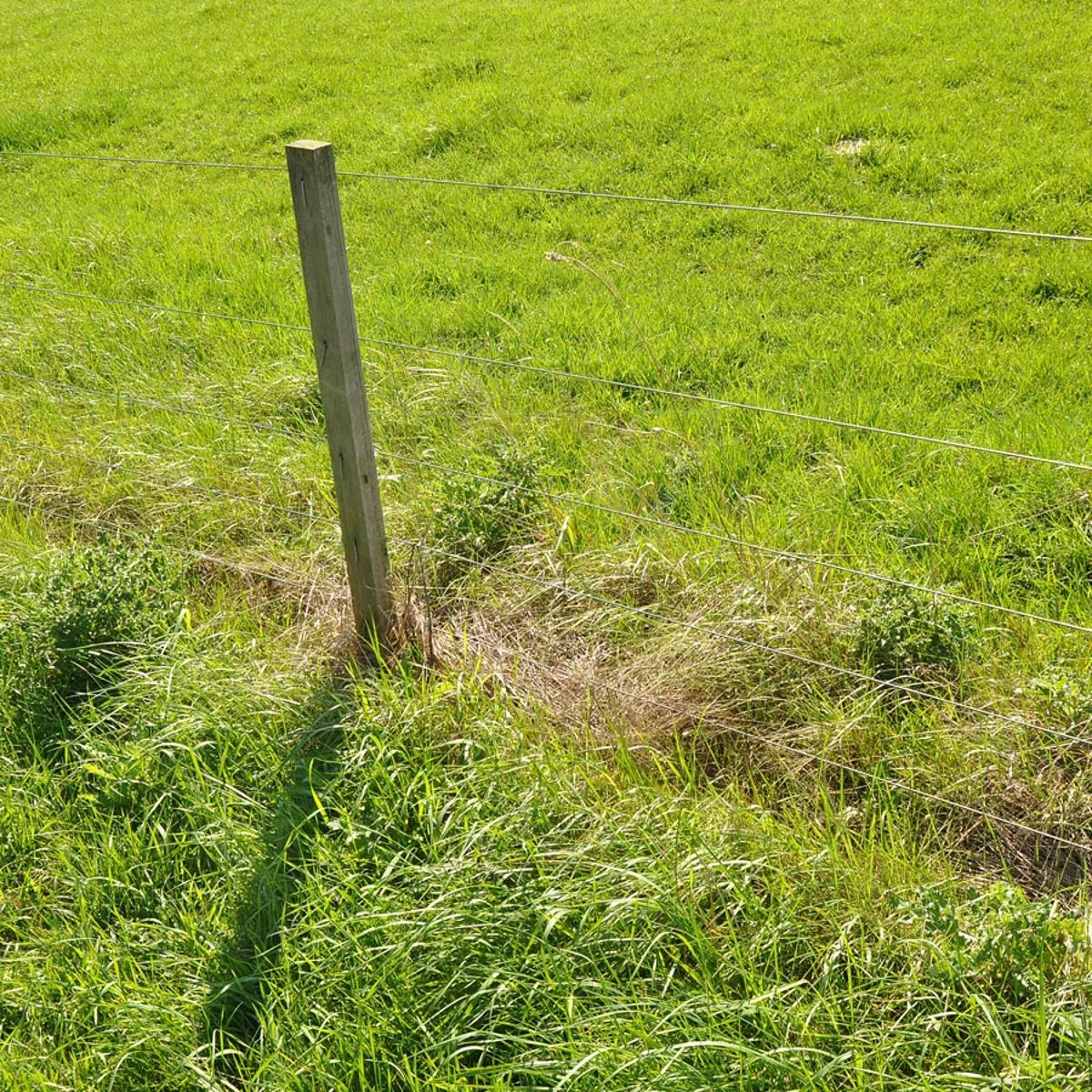 Gallagher Gealuminiseerd Draad Mt 1,8mm 8 Gallagher Gealuminiseerd Draad Mt 1,8mm - Afbeelding 6