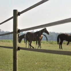 Gallagher Powerline Lint 40mm Terra 200m 7 Gallagher Powerline Lint 40mm Terra 200m -Goedkope Wolfswinkel winkel 060696 3 GALLAGHER