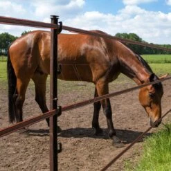 Gallagher Turboline Lint 20mm Terra 200m -Goedkope Wolfswinkel winkel 060702 3 GALLAGHER