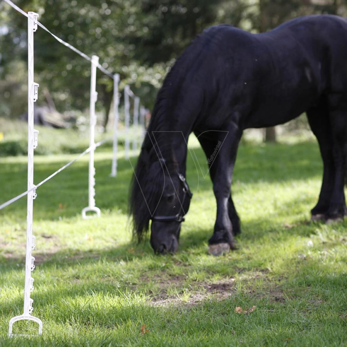 Gallagher Duopack Stijgbeugelpaal 1,55m 5 Gallagher Duopack Stijgbeugelpaal 1,55m - Afbeelding 3