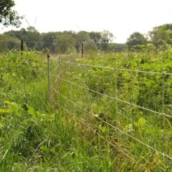 Gallagher Wilde Zwijnennet, Wit 75/1 - 1 -Goedkope Wolfswinkel winkel 062973 12 GALLAGHER