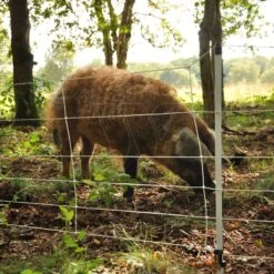 Gallagher Wilde Zwijnennet, Wit 75/1 - 1 -Goedkope Wolfswinkel winkel 062973 16 GALLAGHER