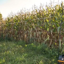 Gallagher Hertenpaal Kunststof 1,70m Zwa -Goedkope Wolfswinkel winkel 063475 3 GALLAGHER