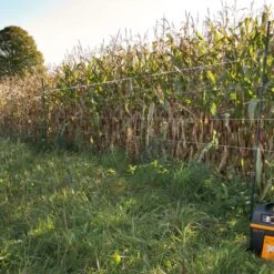 Gallagher Hertenpaal Kunststof 2,00m Zw -Goedkope Wolfswinkel winkel 063482 3 GALLAGHER