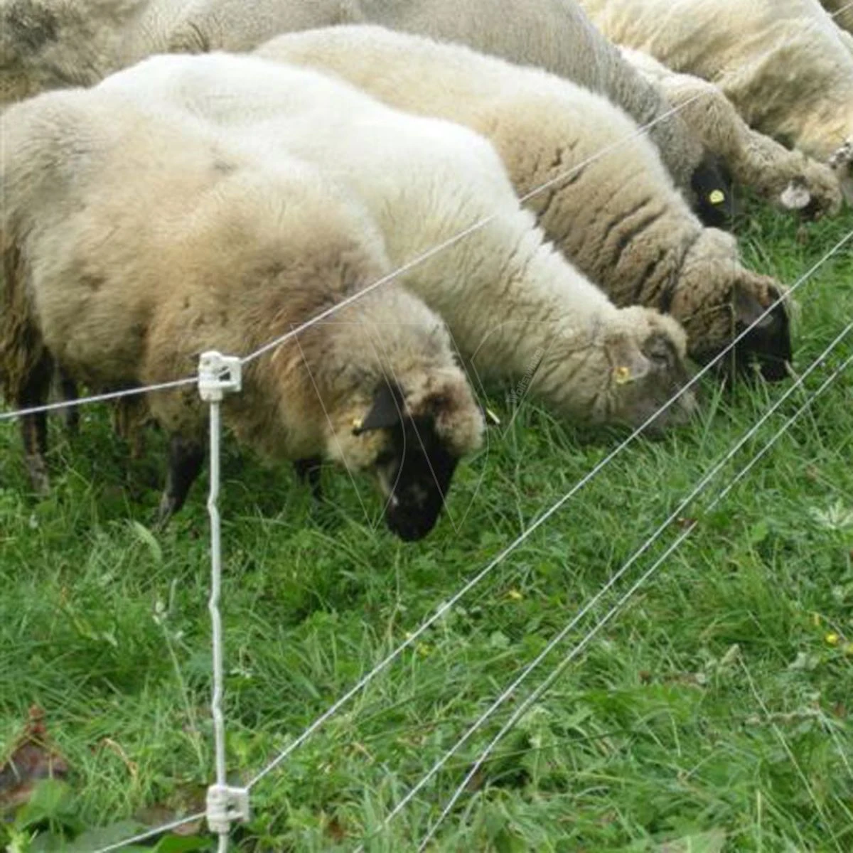 Gallagher Quattro Paal 1,00m (10) 4 Gallagher Quattro Paal 1,00m (10) - Afbeelding 2