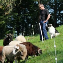 Gallagher Quattro Paal 1,00m (10) 7 Gallagher Quattro Paal 1,00m (10) -Goedkope Wolfswinkel winkel 064253 3 GALLAGHER