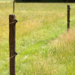 Gallagher W-isolator Zwart, Super (25) -Goedkope Wolfswinkel winkel 067605 3 GALLAGHER