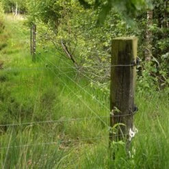 Gallagher W-isolator Wit, Super (175) -Goedkope Wolfswinkel winkel 067617 2 GALLAGHER