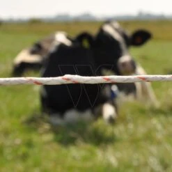 Gallagher Duopack Vidoflex 9 Turboline P -Goedkope Wolfswinkel winkel 069323 4 GALLAGHER