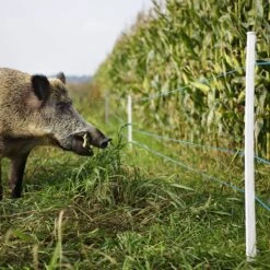 Gallagher Kunstofdraad Blauw 400m 9 Gallagher Kunstofdraad Blauw 400m -Goedkope Wolfswinkel winkel 075829 4 GALLAGHER